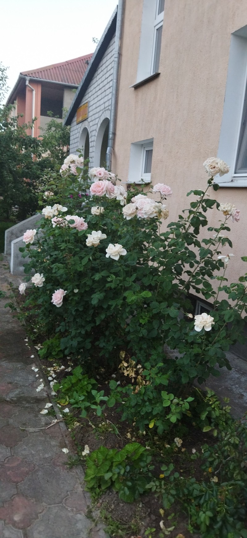 2-комнатная квартира, Панковой ул. 110