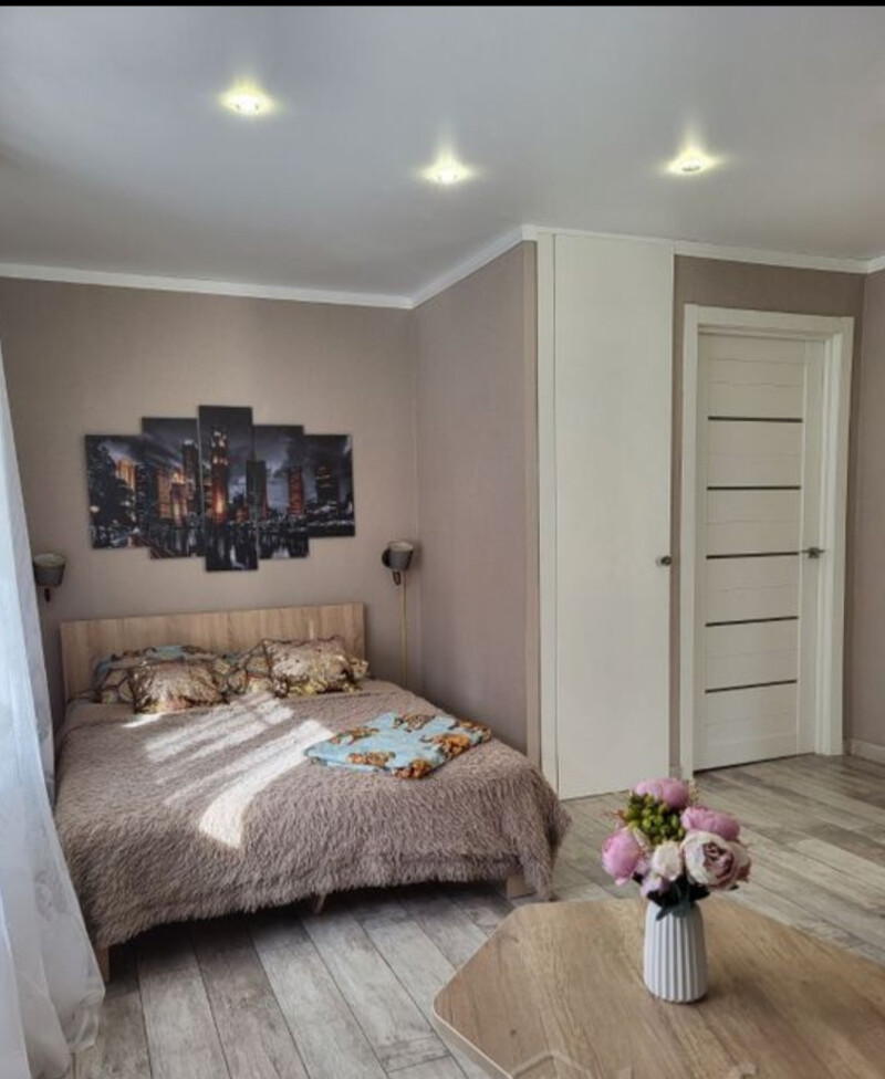 1-комнатная квартира, Циолковского ул. 9