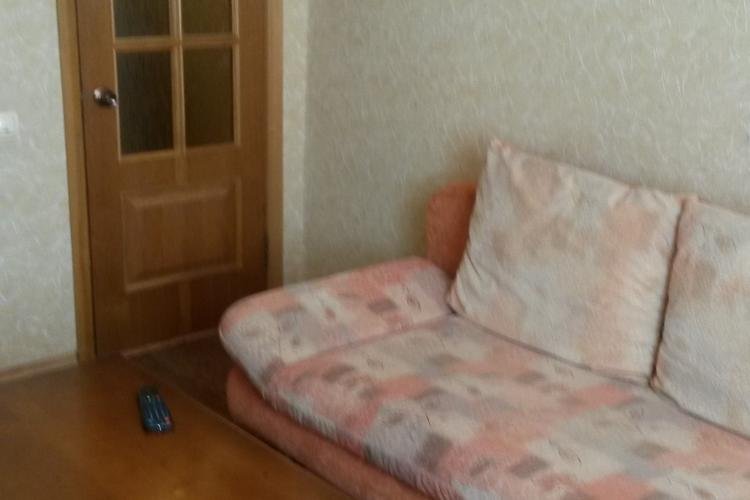 1-комнатная квартира, Пушкинский пр. 51
