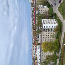 Янина